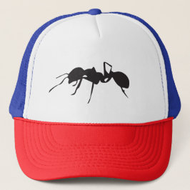TSP Ant Pet