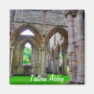 Tstage Abbey, klooster van Cistercian, Wales Magneet
