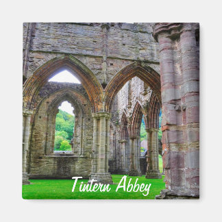Tstage Abbey, klooster van Cistercian, Wales Magneet
