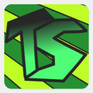 TSteinz-Sticker Vierkante Sticker