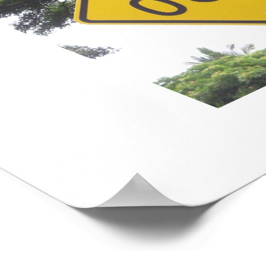 Tsunami Poster (Hoek)