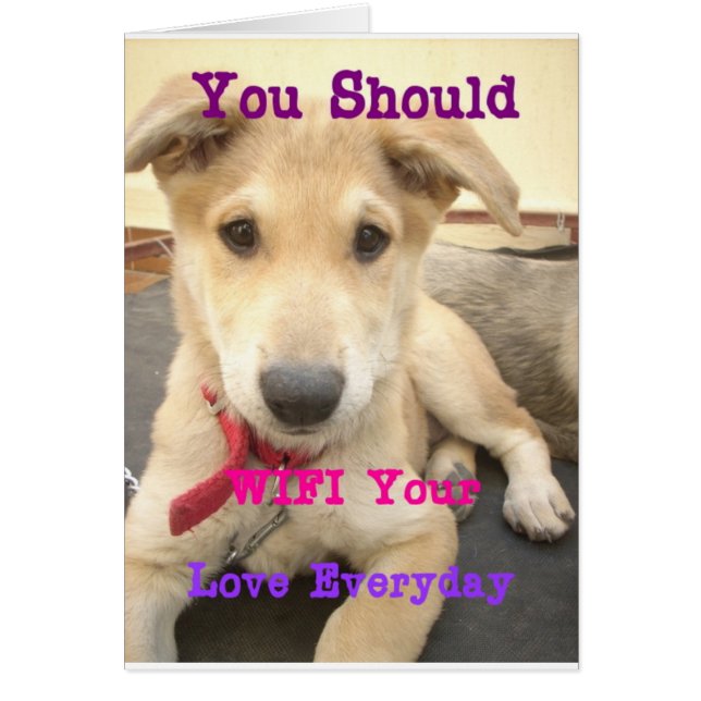 Tu Devrais WIFI Ton Amour Tous Les Jours (Devant)