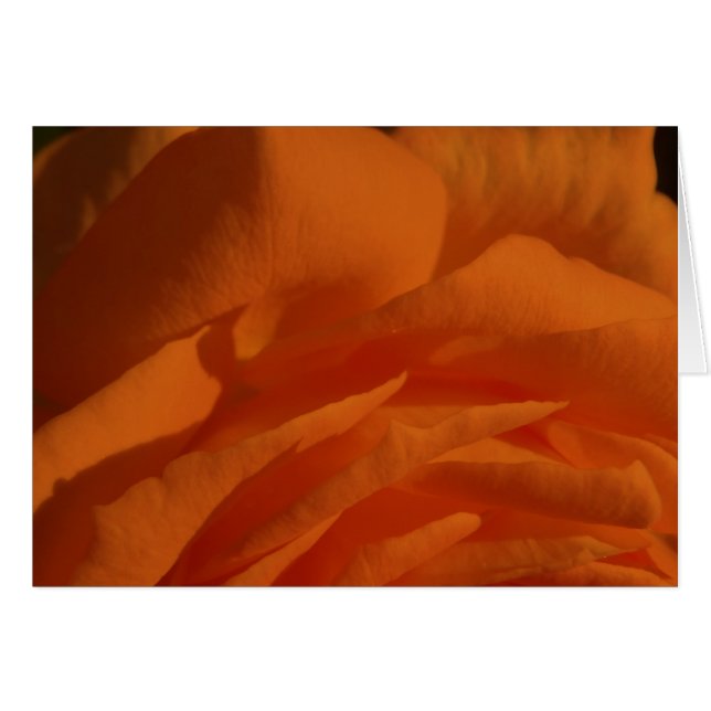 Tú eres mi amor, mi vida (Voorkant Horizontaal)