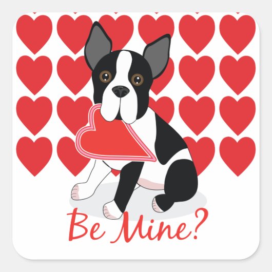Tu Es À Moi ? Stickers Boston Terrier Valentine's (Devant)