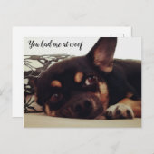 Tu m'as eu à woof. Carte postale Chihuahua. (Devant / Derrière)