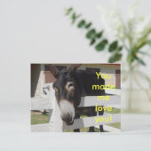 Tu M'As Fait Aimer Ta Carte Postale (Debout devant)