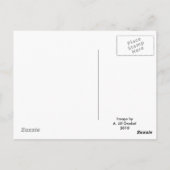 Tu M'As Fait Aimer Ta Carte Postale (Dos)