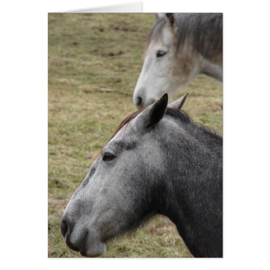 Tu M'As Fait Mais Je T'Aime Toujours (Devant)