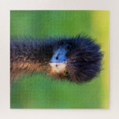 Tu me cherches ? - Puzzle Emu Jigsaw - 20x20 (Horizontal)
