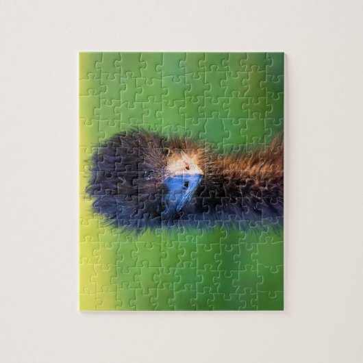 Tu me cherches ? - Puzzle Emu Jigsaw - 8x10 (Vertical)