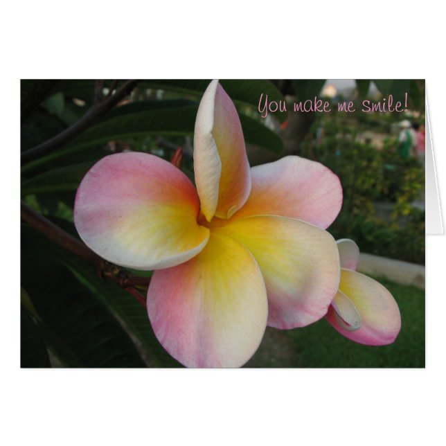 Tu Me Fais Sourire ! (Devant Horizontal)