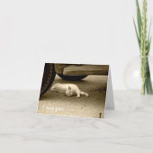 Tu me manque carte - chat seul (Devant)