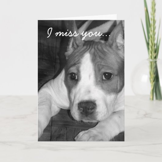 Tu me manque carte de voeux de pitbull (Devant)