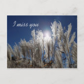 Tu me manques Carte postale (Devant)