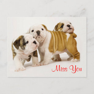 Tu me manques - Carte postale de chiots Bouledogue