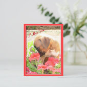 Tu me manques ta carte postale de boxeur (Debout devant)