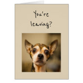 Tu pars ? Non ! Chihuahua Fun Chien (Devant)