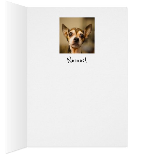 Tu pars ? Non ! Chihuahua Fun Chien (Intérieur (Droit))