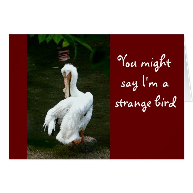 "TU POURRAIS DIRE QUE JE SUIS UN OISEAU ÉTRANGE... (Devant horizontal)