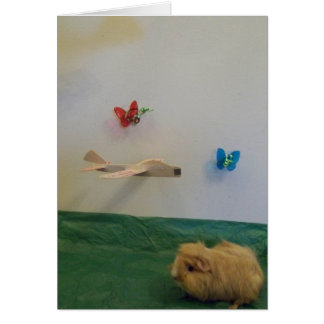 Tu remplis ma vie de caprice