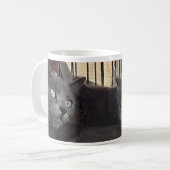 Tu seras toujours mon bébé. Mug à café chat (Devant gauche)