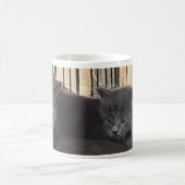 Tu seras toujours mon bébé. Mug à café chat (Centre)