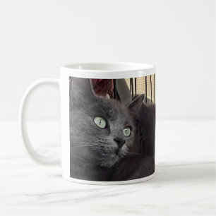 Tu seras toujours mon bébé. Mug à café chat
