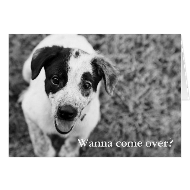 Tu veux venir ? (Devant horizontal)