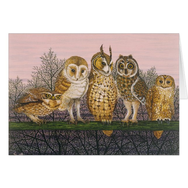 Tu-whit Tu-whooing (Voorkant Horizontaal)