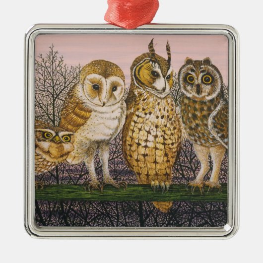 Tu-whit Tu-whooing Metalen Ornament (Voorkant)