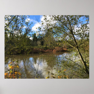 Tualatin rivier, Oregon Poster