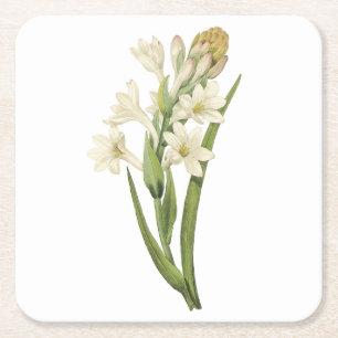 tuberose (Tuberosa sp.) van Redouté Vierkante Kartonnen Onderzetter