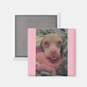 Tucker porte des lunettes Aimant à Accent rose (Recto/Verso)