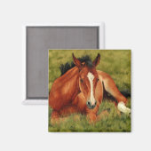 Tuckered Out - Rustende veulenmagneet Magneet (Voorkant / Achterkant)