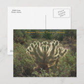 Tucson Arizona Briefkaart (Voorkant / Achterkant)