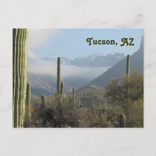 Tucson Arizona Desert Briefkaart (Voorkant)