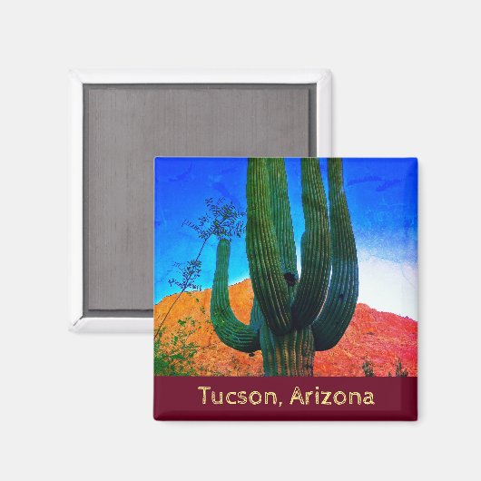 Tucson, Arizona Desert Cactus Magnet (Recto/Verso)