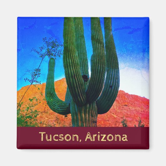 Tucson, Arizona Desert Cactus Magnet Magneet (Voorkant)