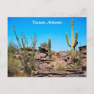 Tucson Arizona, Desert Southwest, Cacti Briefkaart