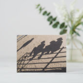 Tucson, Arizona: Schaduwen van de concurrenten van Briefkaart (Staand voorkant)