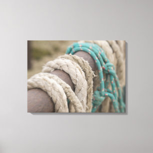 Tucson, Arizona: Touwen en tuigen gebruikt op Canvas Afdruk