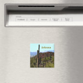 Tucson Magnet Arizona (In Situ (Lave-vaisselle))