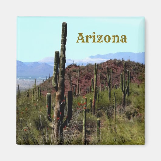 Tucson Magnet Arizona (Devant)