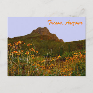 Tucson Mountain en wilde bloemen op Sunset Briefkaart
