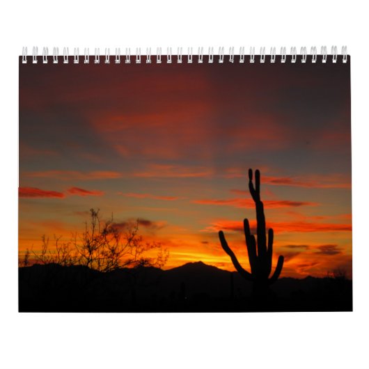 Tucson Weather 2017 Calendar Kalender (Achterkant)