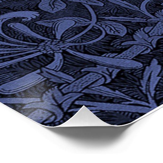 Tudor Roos Rood en Wit Perfect Poster (Hoek)