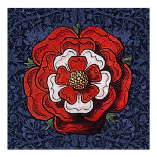Tudor Roos Rood en Wit Perfect Poster