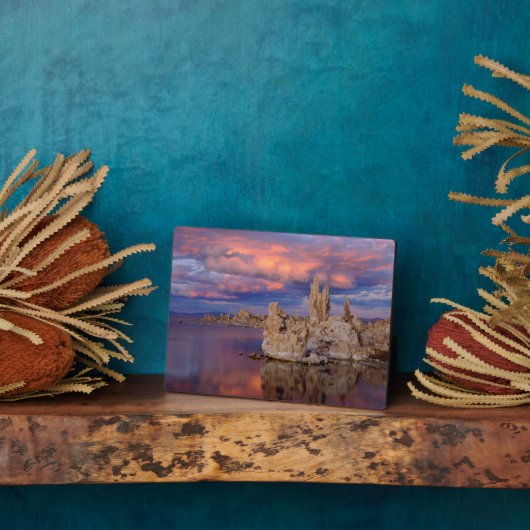 Tufa-formaties op Mono Lake Fotoplaat (Zijkant)