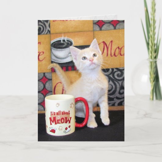 Tuffy McDuff's Mocha Dream Cat Birthday Kaart (Voorkant)