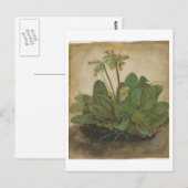 Tuft of Cowslips van Albrecht Durer Briefkaart (Voorkant / Achterkant)